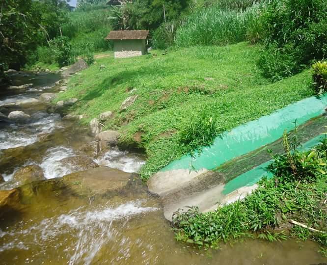 Chalé Truta da Floresta Visconde de Mauá Exterior foto